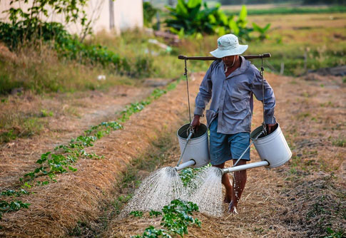 Landscaping & Grounds